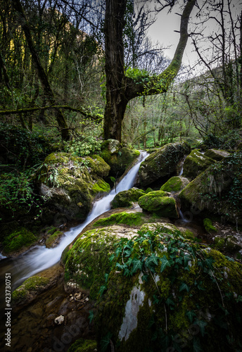 rivière  © mehdi C