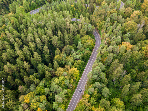 Aerial view of winding road in high mountain pass trough dense green pine woods.