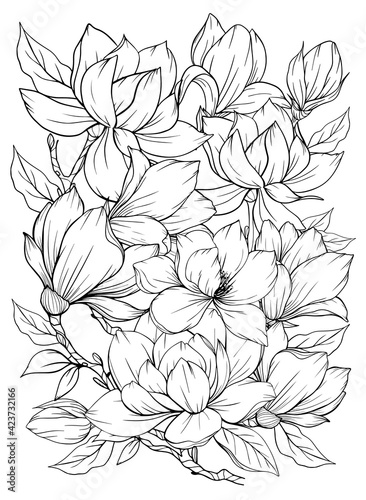 Coloring page with magnolia and leaves. Vector page for coloring. Flower Colouring page. Outline magnolia . Black and white page for coloring book. Anti-stress coloring. Line art flowers 
