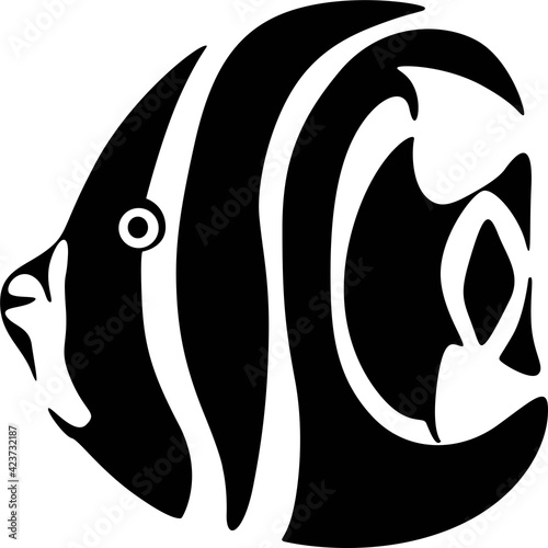 black and white fish