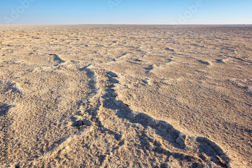 The desolate flat Makgadikgadi salt pan with polygonal patterns in Botswana