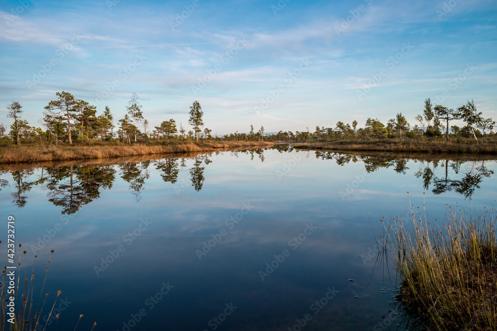 Beautiful lake of the Great Kemeri bog in the Kemeri National Park near Jurmala, Latvia