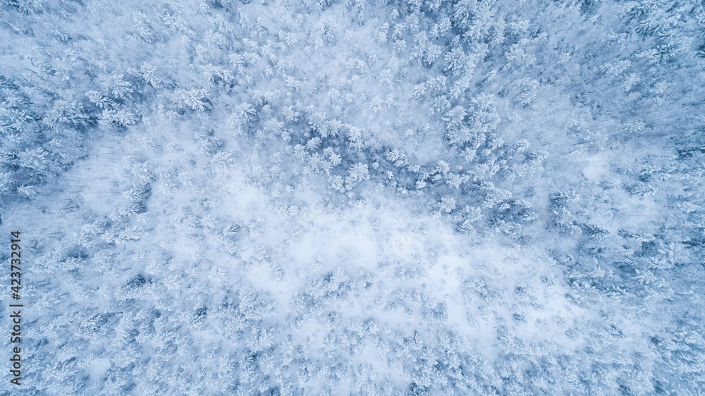Aerial view of a winter snow covered forest. Winter forest texture. Top down view of a winter landscape. 