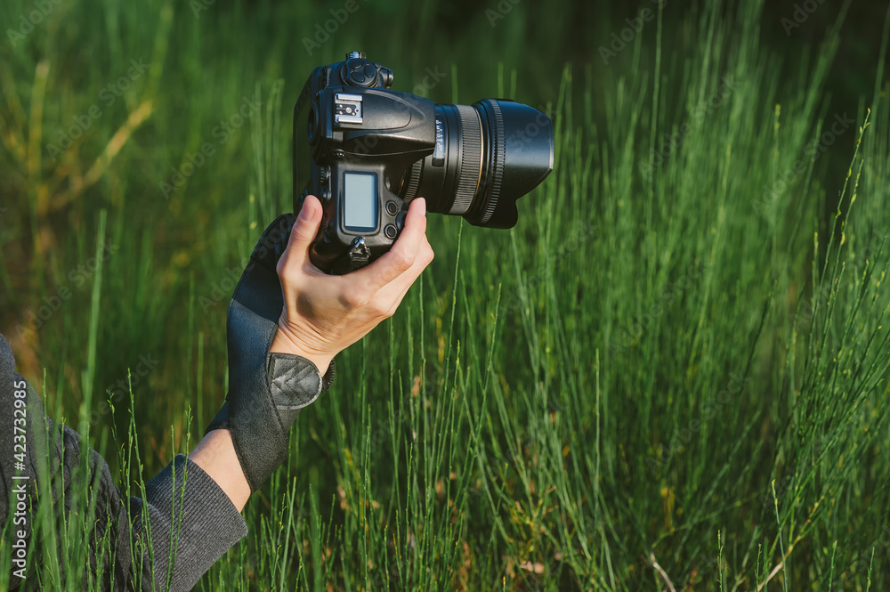 Close-up, professional photo-video camera in the hands of a girl. Against the background of green nature and forest.