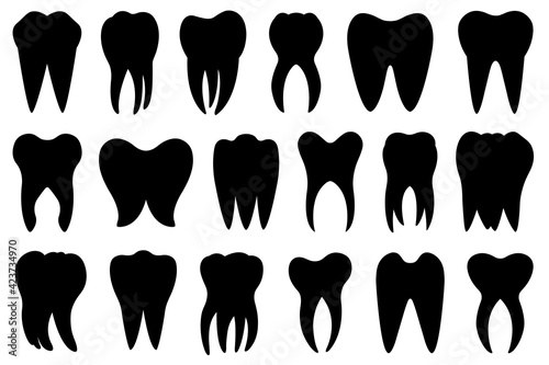 Set of different teeth isolated on white