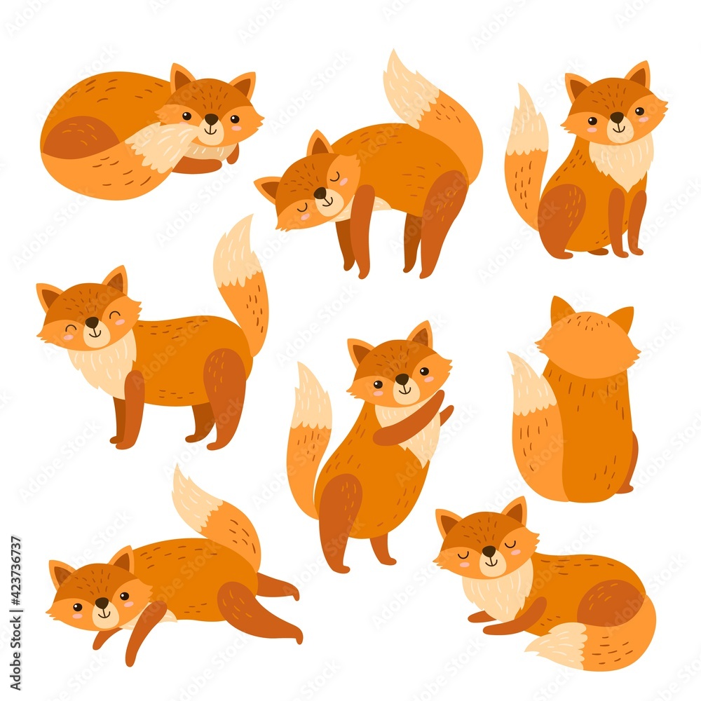 Fototapeta Fox characters. Cute cartoon red foxes, funny animal running standing or sitting. Isolated forest wildlife, foxy with orange tail exact vector set