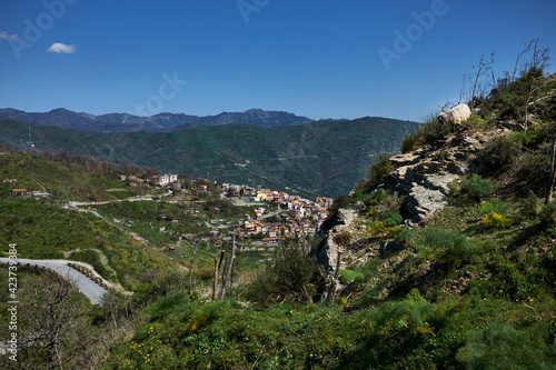 sheep grazing free in the mountains of the Province of Messina and in the town of Limina near Savoca