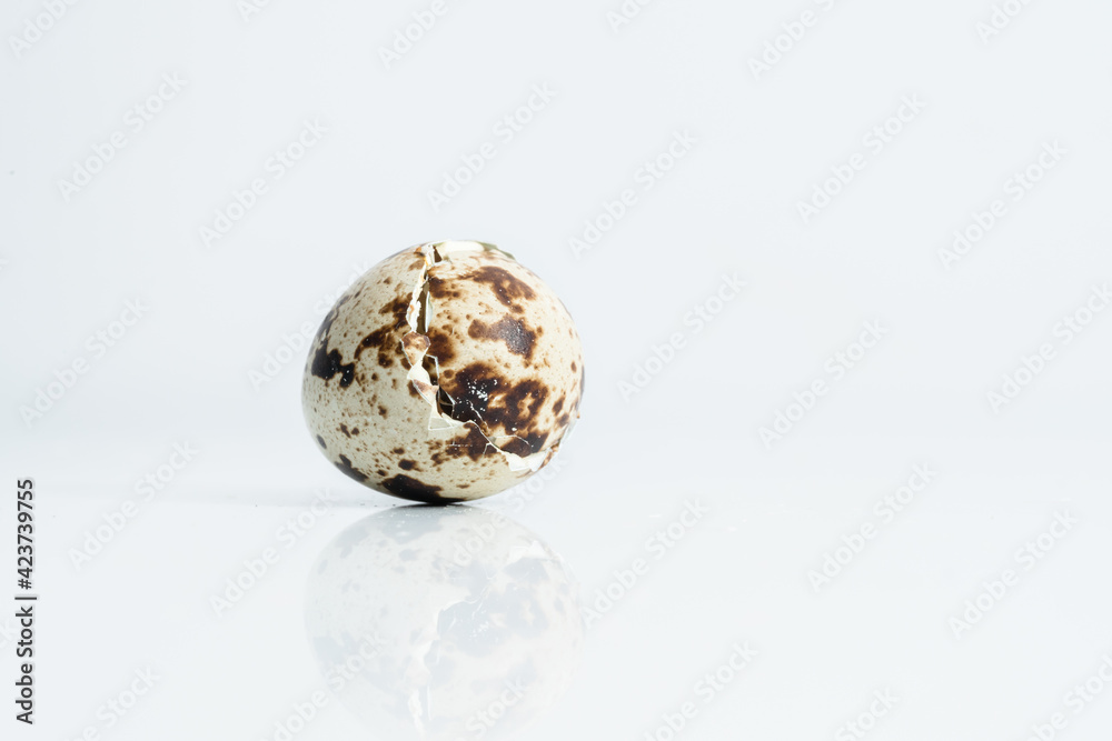 Quail egg shell after birth,The appearance of the eggshell after the quail child is born. Quail egg shell after birth,The appearance of the eggshell after the quail child is born.