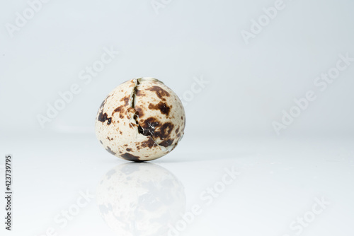 Quail egg shell after birth The appearance of the eggshell after the quail child is born.