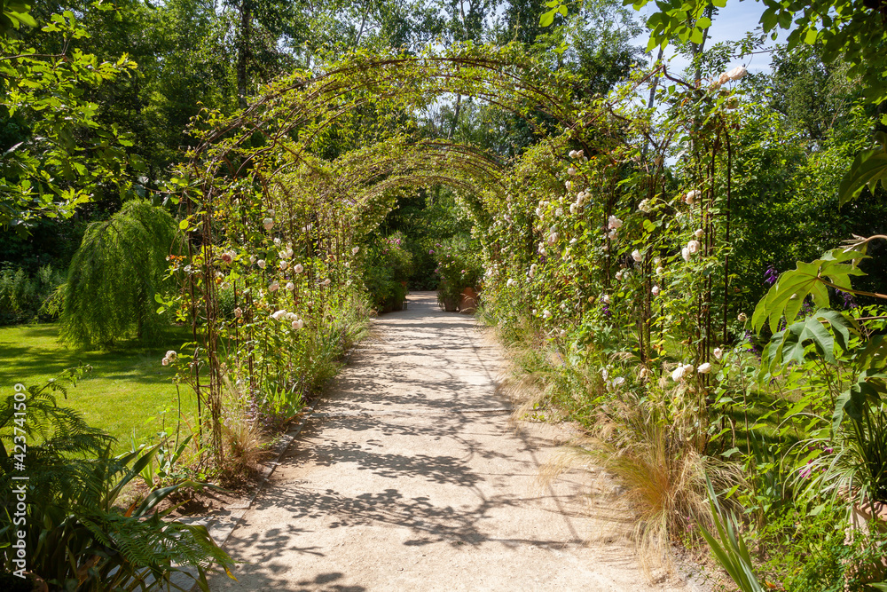 Allée de jardin sous une tonnelle ornée de rosiers grimpants dans un parc botanique Allée de jardin sous une tonnelle ornée de rosiers grimpants dans un parc botanique