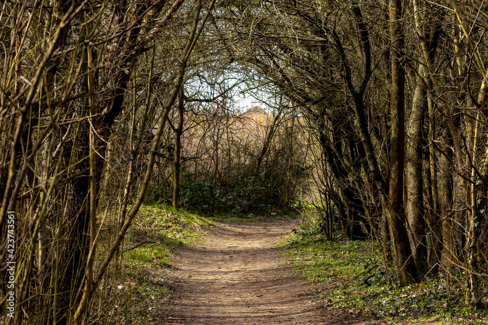 secret creepy place that looks romantic with trees and lonely paths secret creepy place that looks romantic with trees and lonely paths