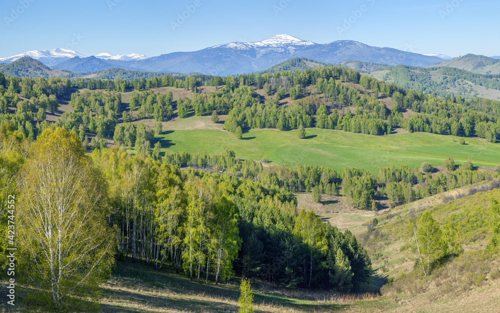View of mountain valley on spring day, greenery of forests and meadows