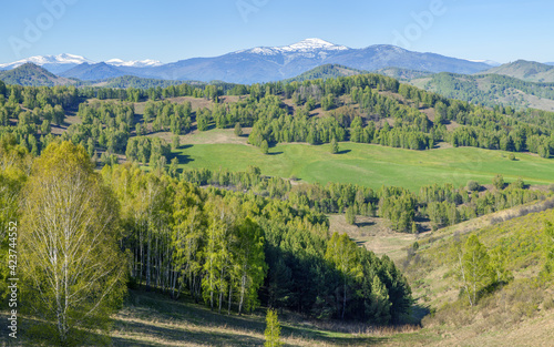 View of mountain valley on spring day  greenery of forests and meadows