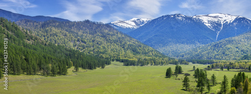 Panoramic view of mountain valley on spring day