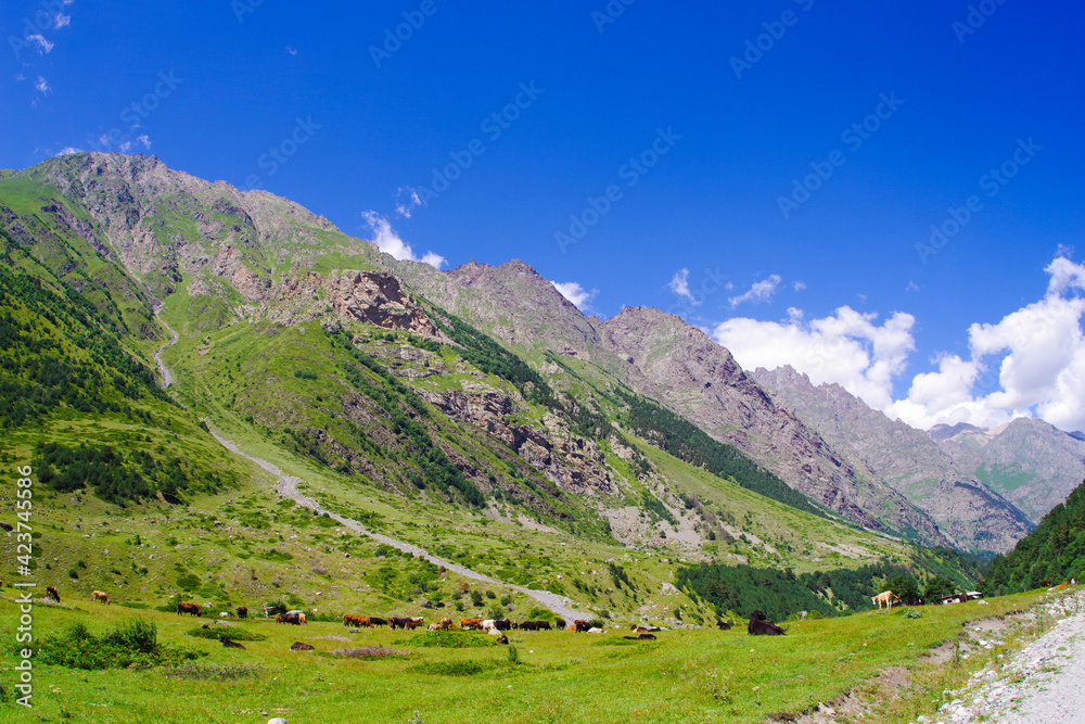 Naklejka premium Mountain valley in the Cherek-Balkarsky river gorge in the vicinity of Ushtulu