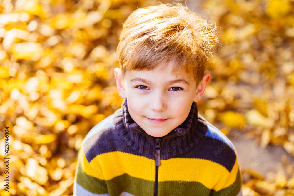 Fototapeta premium Top view portrait of thoughtful child having fun outdoor in autumn park. Smiling kid against yellow leaves blurred background. Close up.