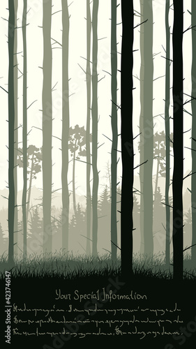Vertical illustration with view from pine trunks woods and grassy coniferous forest and place for text.