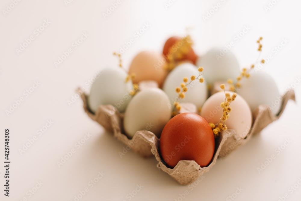 fresh chicken eggs of natural shades and colors on a white background. Happy Easter concept