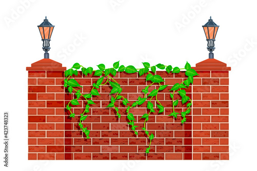 Fence with climbing plant branches isolated on white background. Lianas or ivy on red brick fence or wall. City park or garden masonry  barrier with street lanterns and herb leaves.Vector illustration