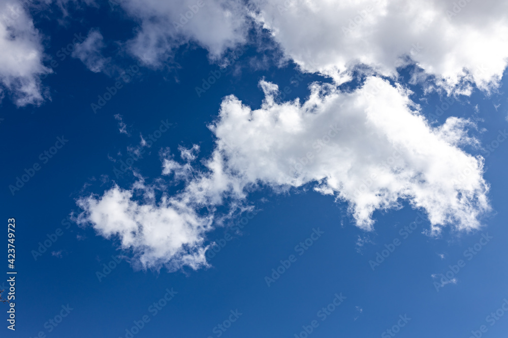 Obraz premium Detail of cumulus clouds. Veil clouds in a blue sky. 