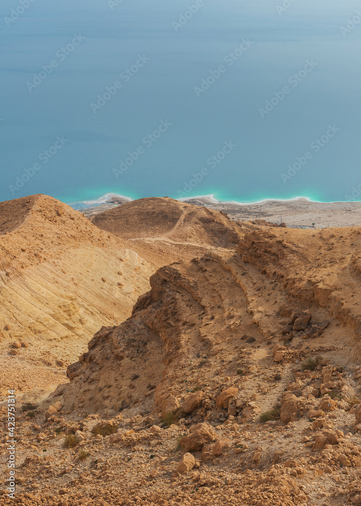 Deserted coast of the Dead Sea. View from above.