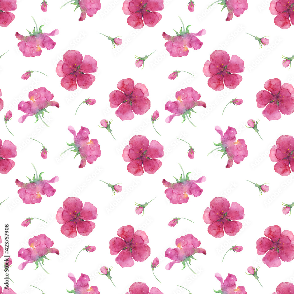 Seamless pattern of pink apple flowers on white background. Watercolor hand drawing illustration. Digital paper with cute spring design.