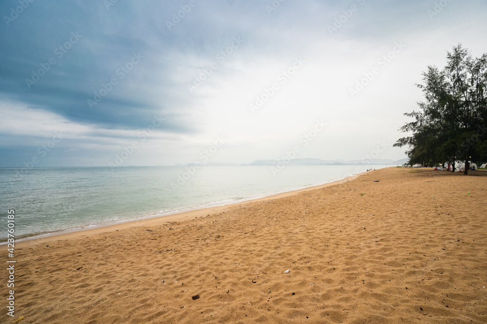 Beach with pine trees and blue sky Beach with pine trees and blue sky