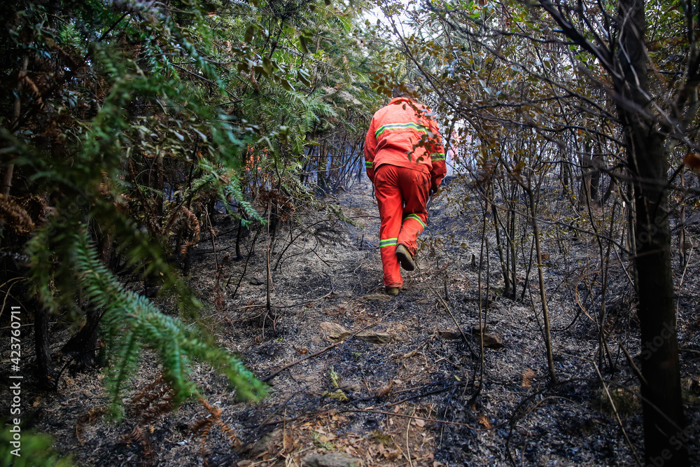 Forest fires filled the sky with smoke. Caused by human sacrificial fire in the wild. The firemen put out the fire on the mountain. Forest fires filled the sky with smoke. Caused by human sacrificial fire in the wild. The firemen put out the fire on the mountain.