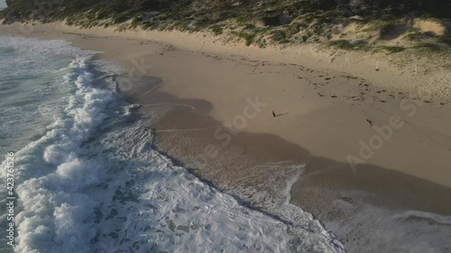 Wallpaper Mural Black bird fly from sand to sea water with waves and soft foam texture in turquoise ocean at sunset. Aerial view of beautiful Australian beach Torontodigital.ca