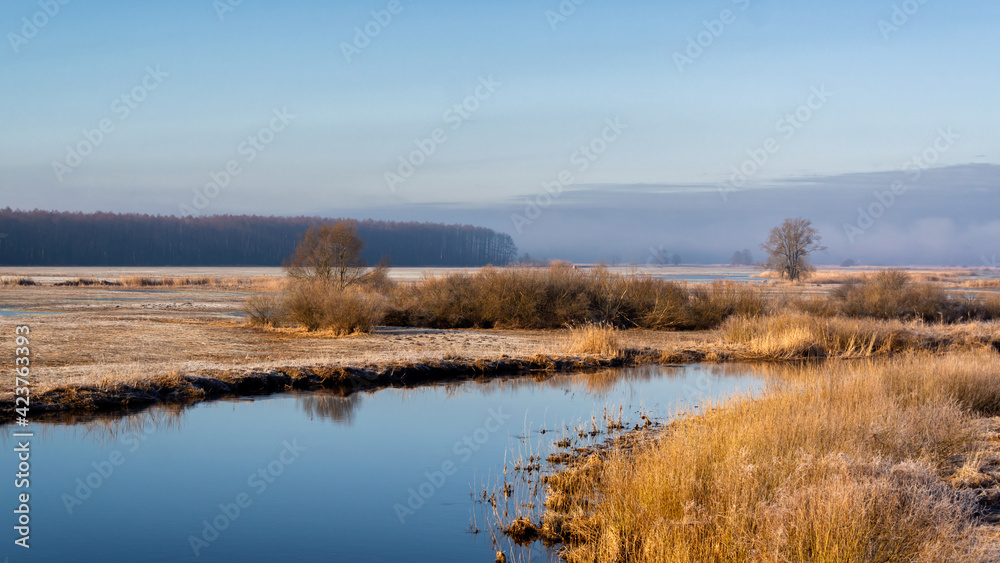 Wiosna w Dolinie Górnej Narwi, Podlasie, Polska
