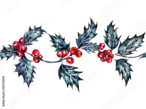 Watercolor Holly Berries Christmas Plant Isolated on White