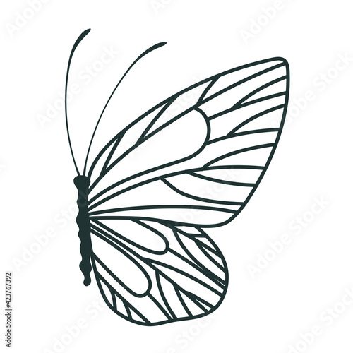 beautiful butterfly icon