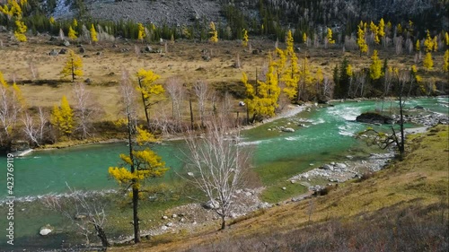 Altai mountains in autumn. Katun river.