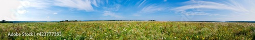 Field of wild sunflowers and wildflowers with clouds in the background