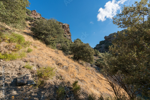 mountainous landscape of Sierra Nevada