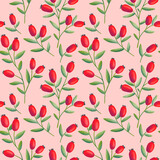 Red Rosehips with flowers and berries seamless pattern for tea. Black and white Graphic drawing, engraving style. hand drawn illustration on pink background