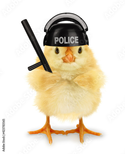 Cute cool chick cop policeman with police baton funny conceptual image