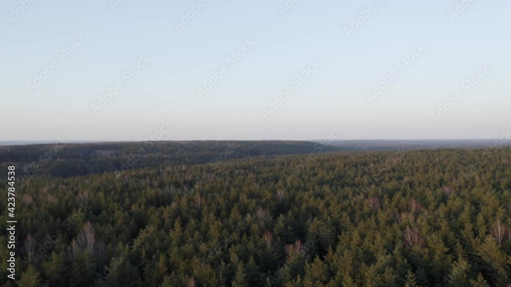 AERIAL: Hills of Forest with Clear Blue Sky on a Lvoely Evening