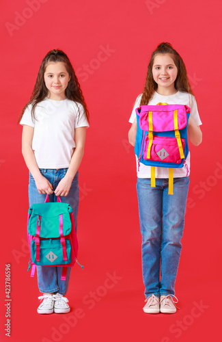 Portrait of cute twin schoo...