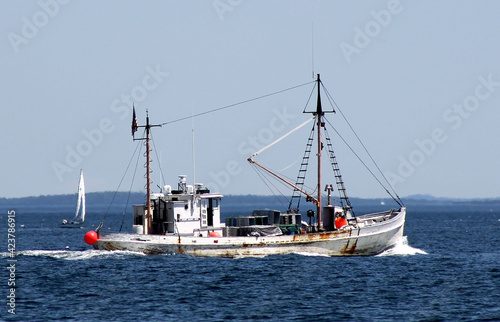 boats in the harbor