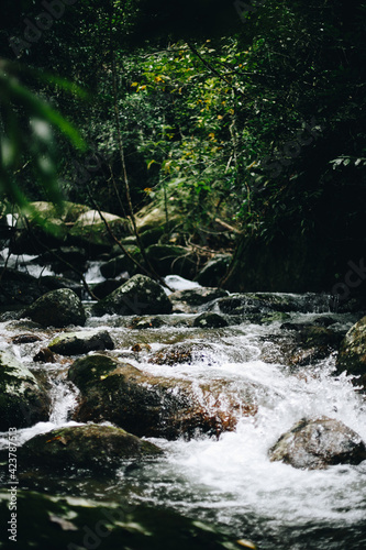 cachoeira