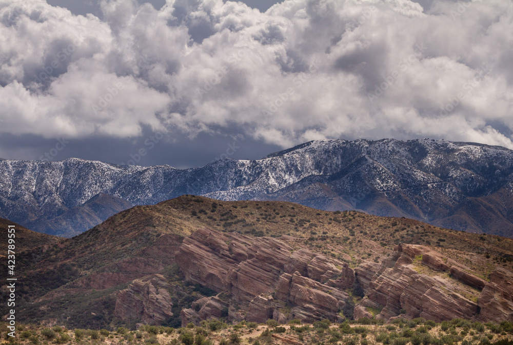 Layers of landscapes in the desert.  Green bushes in the foreground, angled rocks in the middle, and mountains covered with fresh snow.  All of this sits under moody skies. 