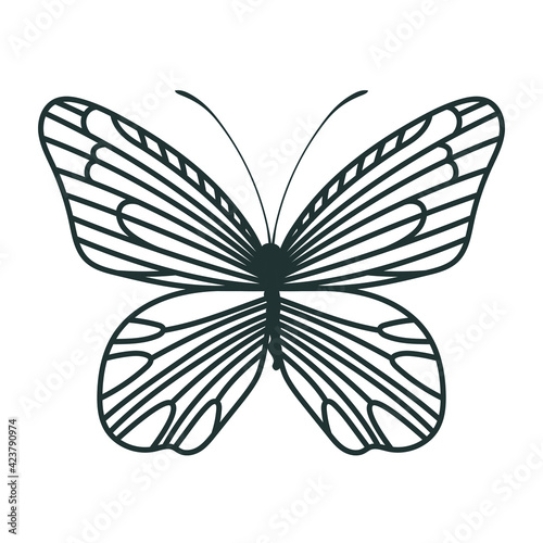 pretty butterfly icon