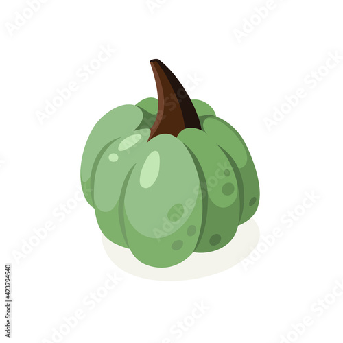 Cartoon Pumpkin Spice Season Image. Hand drawn stylish vegetable. Vector drawing fresh organic food. Summer illustration vegan ingrediens for smoothies or Pie