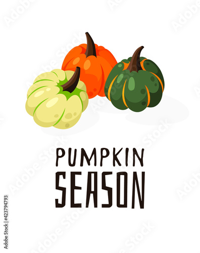 Cartoon Pumpkin Spice Season Image with Text. Hand drawn stylish vegetable. Vector drawing fresh organic food and Quote. Summer illustration vegan ingrediens for smoothies or Pie