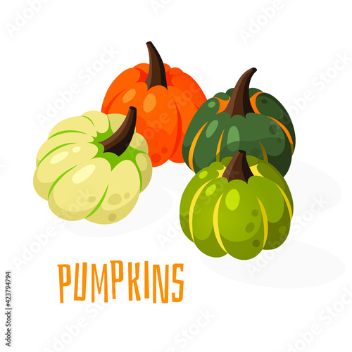 Cartoon Pumpkin Spice Season Image with Text. Hand drawn stylish vegetable. Vector drawing fresh organic food and Quote. Summer illustration vegan ingrediens for smoothies or Pie