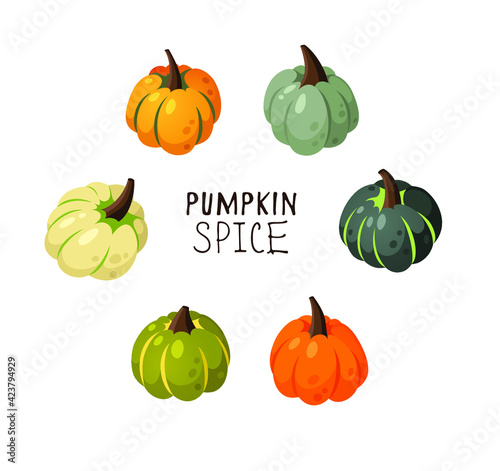 Cartoon Pumpkin Spice Season Image with Text. Hand drawn stylish vegetable. Vector drawing fresh organic food and Quote. Summer illustration vegan ingrediens for smoothies or Pie