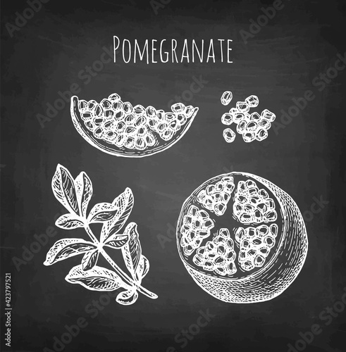 Pomegranate chalk sketch.