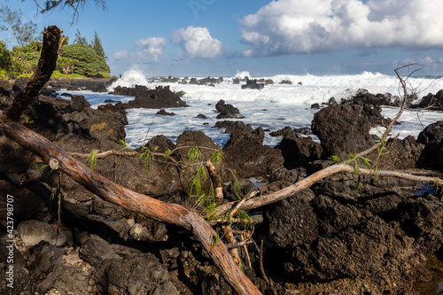 Heavy surf crashes onto Kawee Point near the Leanae Lookout along the road to Hana  Maui  Hawaii 