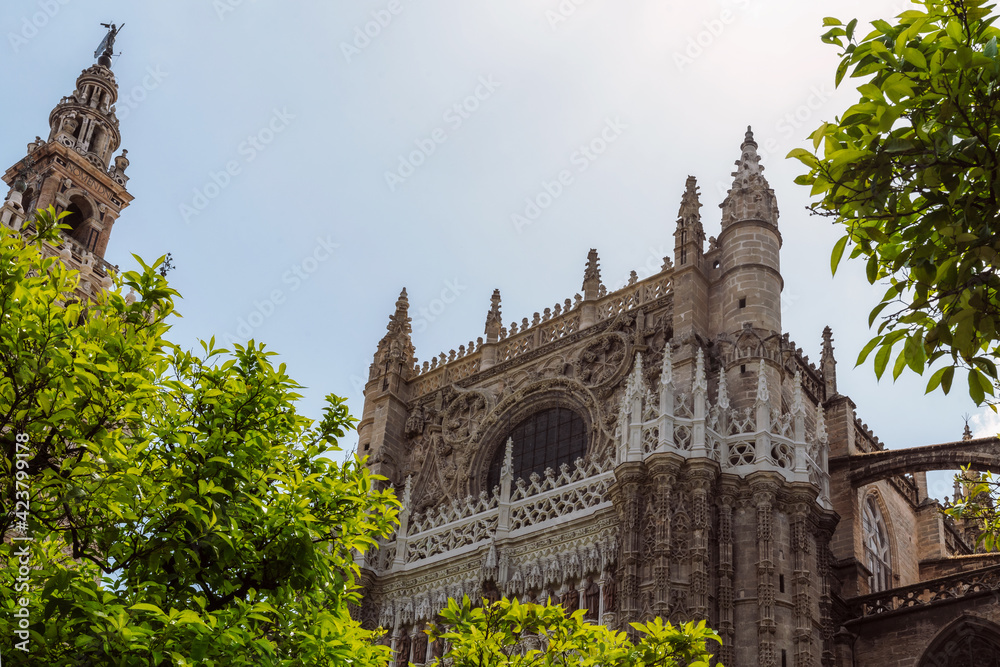 Fragment facade of Sevilla Cathedral, La Giralda bell tower with statue El Giraldillo on his top and Oranges. Cathedral of Saint Mary of the See, Seville; Andalusia, Spain, Europe.